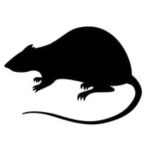 desratizacao DEDETIZADORA EM BLUMENAU