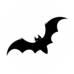 deditazacao-de-morcego-site- DEDETIZADORA EM BLUMENAU